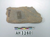 藏品(磨製石器殘件)的圖片